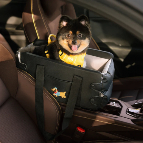 Auto Mand Voor Kleine Hond — Veiligheid En Comfort In De Auto