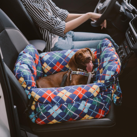 Portable Dog Basket — Comfort At Home And In The Car