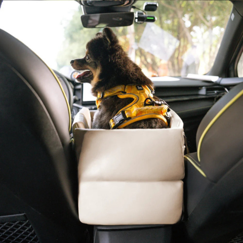 Auto Mand Voor Kleine Hond — Veiligheid En Comfort In De Auto
