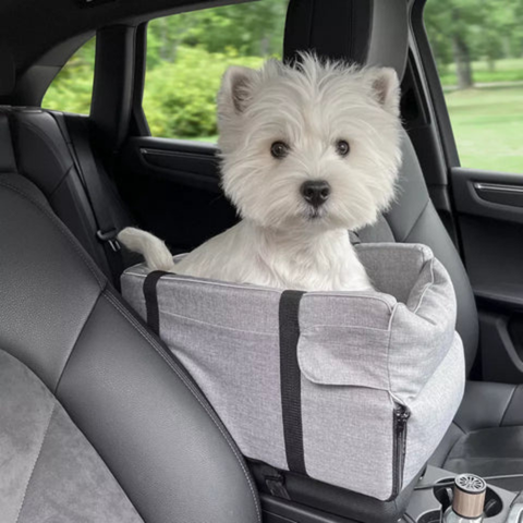 Pet Car Seat — Safe and Comfortable Transport 