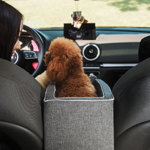 Dog Transport Basket – Comfort and Stability in the Car 