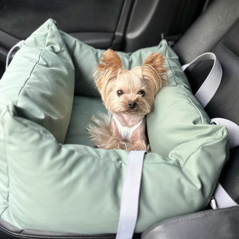 Cuscino Per Auto Per Cani – Protezione E Morbidezza In Viaggio 