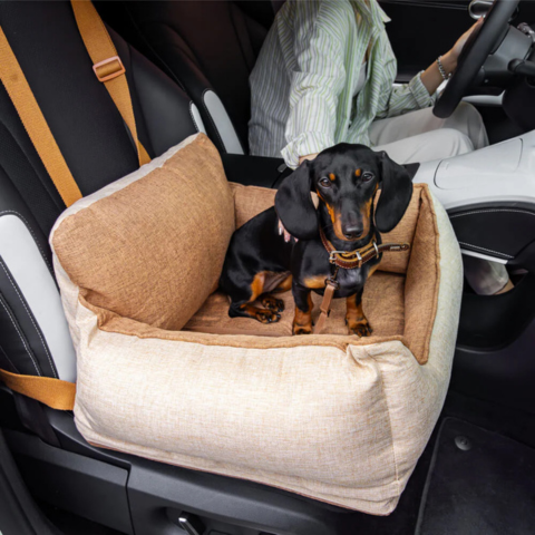 Car Seat for Dog – Comfort and Safety in the Car 