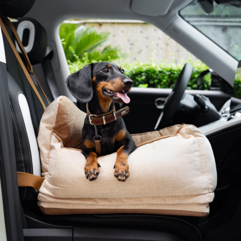Car Seat for Dog – Comfort and Safety in the Car 