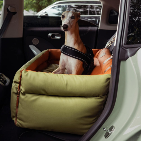 Cuscino Auto Per Cane – Supporto E Comfort Durante Il Viaggio 