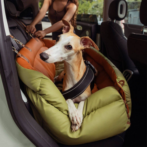 Coussin Auto Pour Chien – Maintien Et Confort Sur La Route