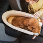 Dog Transport Basket – Comfort and Stability in the Car 