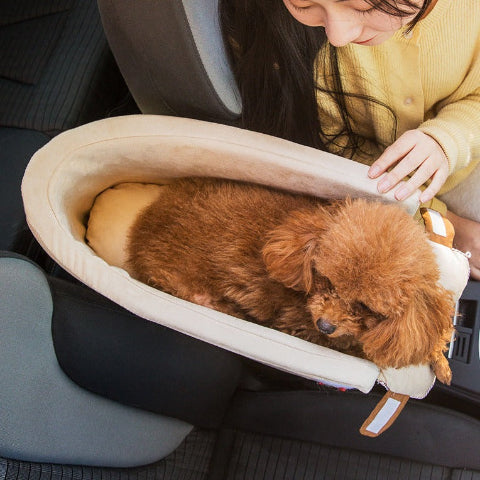 Dog Transport Basket – Comfort and Stability in the Car 